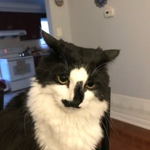 Meet your Posher, Lana